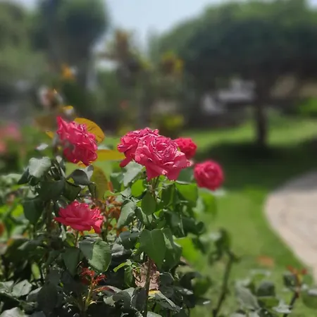 Paradise Σπίτι διακοπών Δασκαλειό