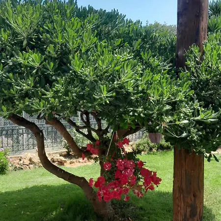 Σπίτι διακοπών Paradise Δασκαλειό